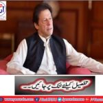 What is the matter? Talked, famous business tycoon also announced investment in Pakistan