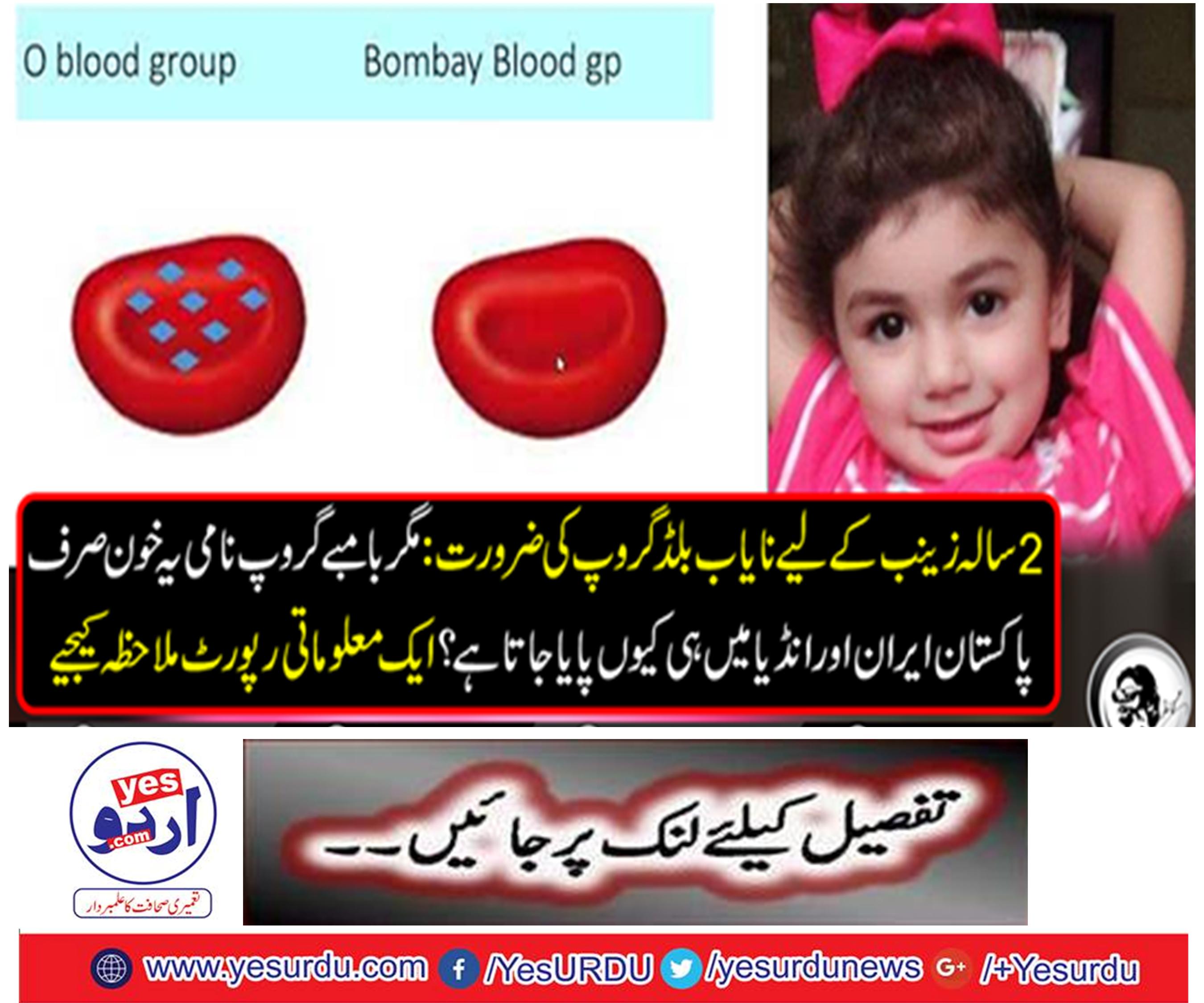 Needs Rare Blood Group for the 2-year Zeneb: Why is this blood called Bambi Group only found in Iran and India?
