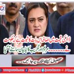 The dollar's increase in the fact that the government ... Mary Aurangzeb's new statement came