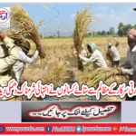 By the protest of the Indian government, seven farmers threatened to become extremely shameful