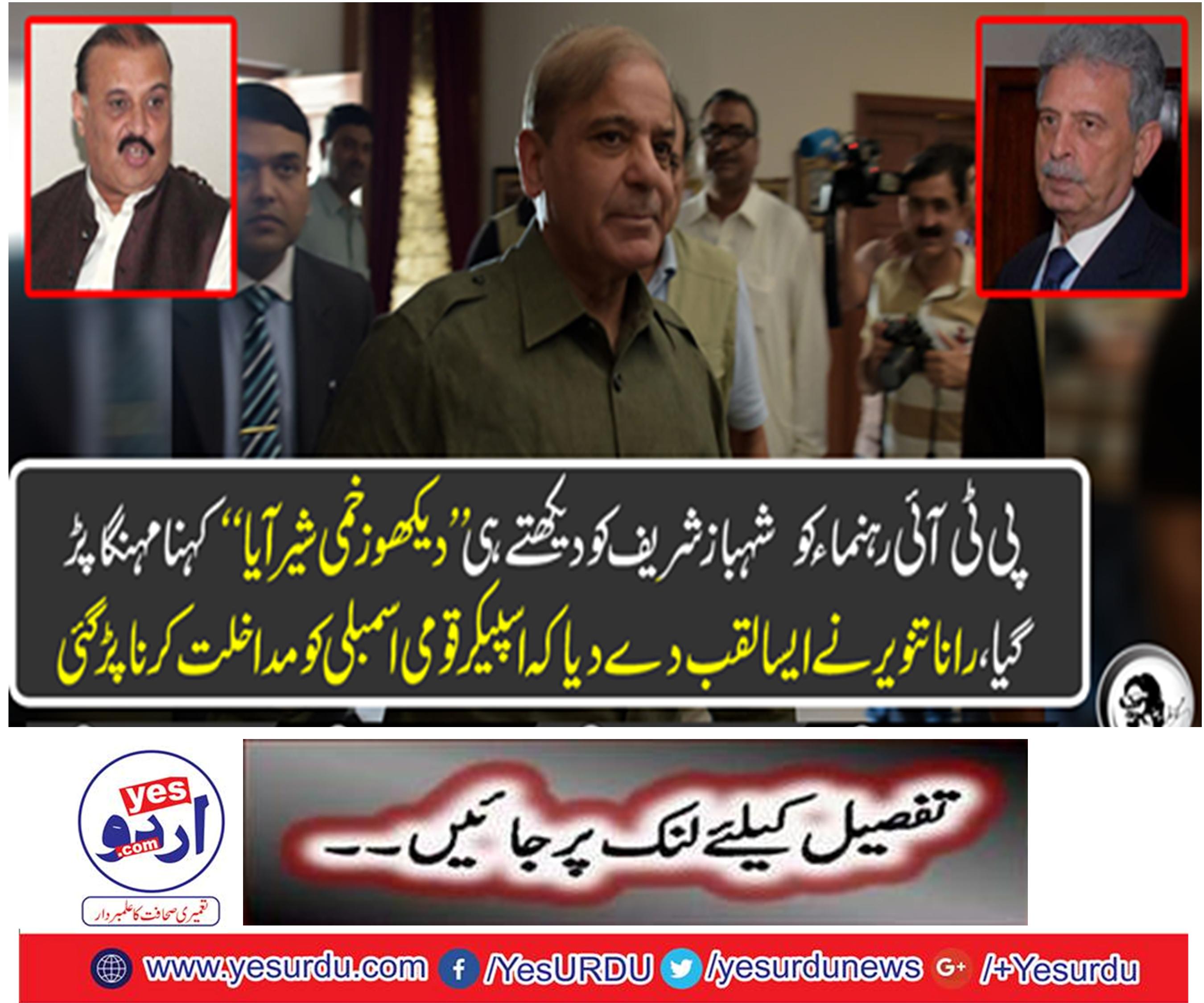 Shahbaz Sharif's National Assembly arrives, Raja Riaz calls on opposition leader, while Rana Tanvir calls a PTI leader