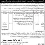 Punjab Health Department Jobs 2019 for Lady Health Visitors and Charge Nurses (Walk-in Interviews)