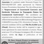 Comsats University Jobs 2019 for Research Associate