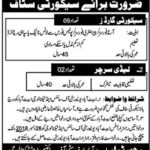 Abbottabad University of Science & Technology Jobs 2019 for 11+ Lady Searchers & Security Guards