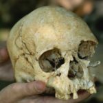 Dead bodies smugglers arrested in India with 50 human skeleton
