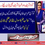 "Nawaz Sharif and Shahbaz Sharif also took the utility, then Imran Khan today