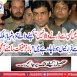 Fayyaz ul-Hasan Chohan wants to flee from the country