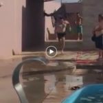 #Funny slide ends in accident