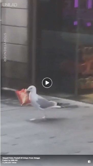 'Just witnessed a robbery in broad daylight...'