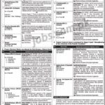University of Poonch Rawalakot Jobs 2019 for 53+ Posts (Multiple Categories)