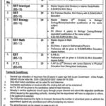 University of Punjab Jobs 2019 for School Teaching Staff / EST / SST and PTI Posts