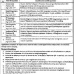 PEDO KP Jobs 2019 for 45+ Accountants, Sub-Engineers, IT Assistants, Assistants, Clerks, Social Organizers & Drivers