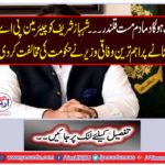 . The highest federal minister made the chairman of the PAC to Shahbaz Sharif