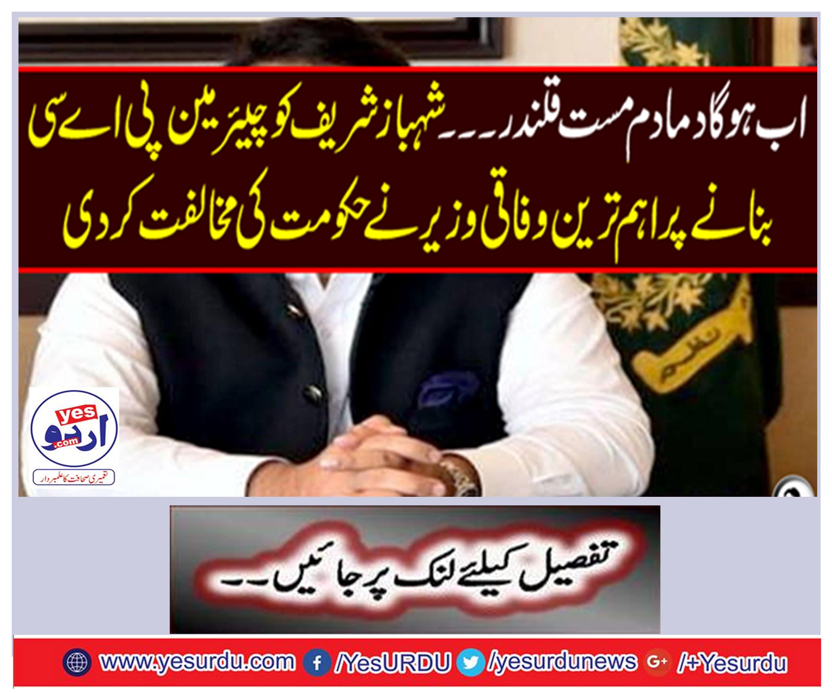 . The highest federal minister made the chairman of the PAC to Shahbaz Sharif