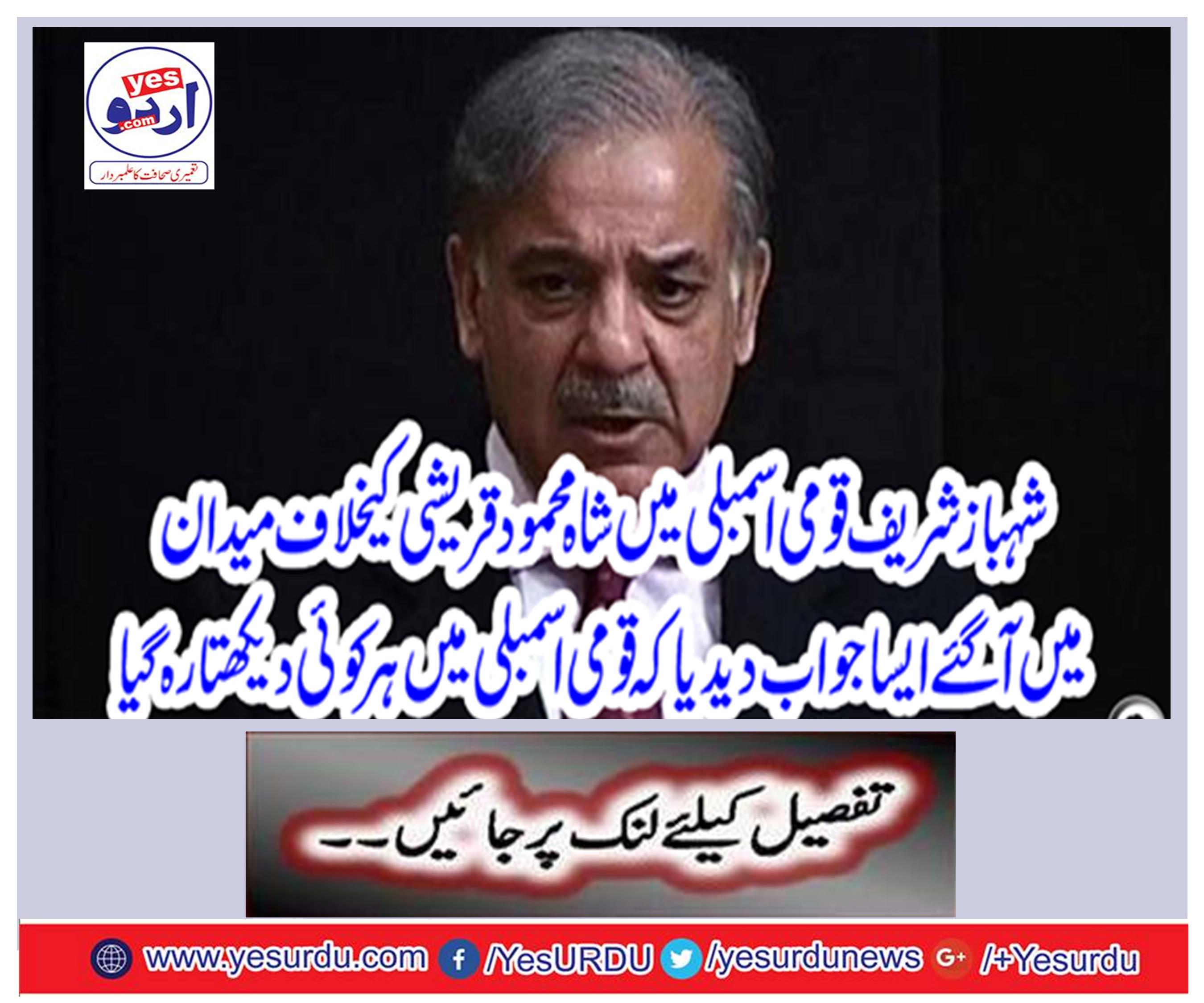 Shahbaz Sharif came to the field against Shah Mehmood Qureshi in the National Assembly. Hazarai was watching the National Assembly.