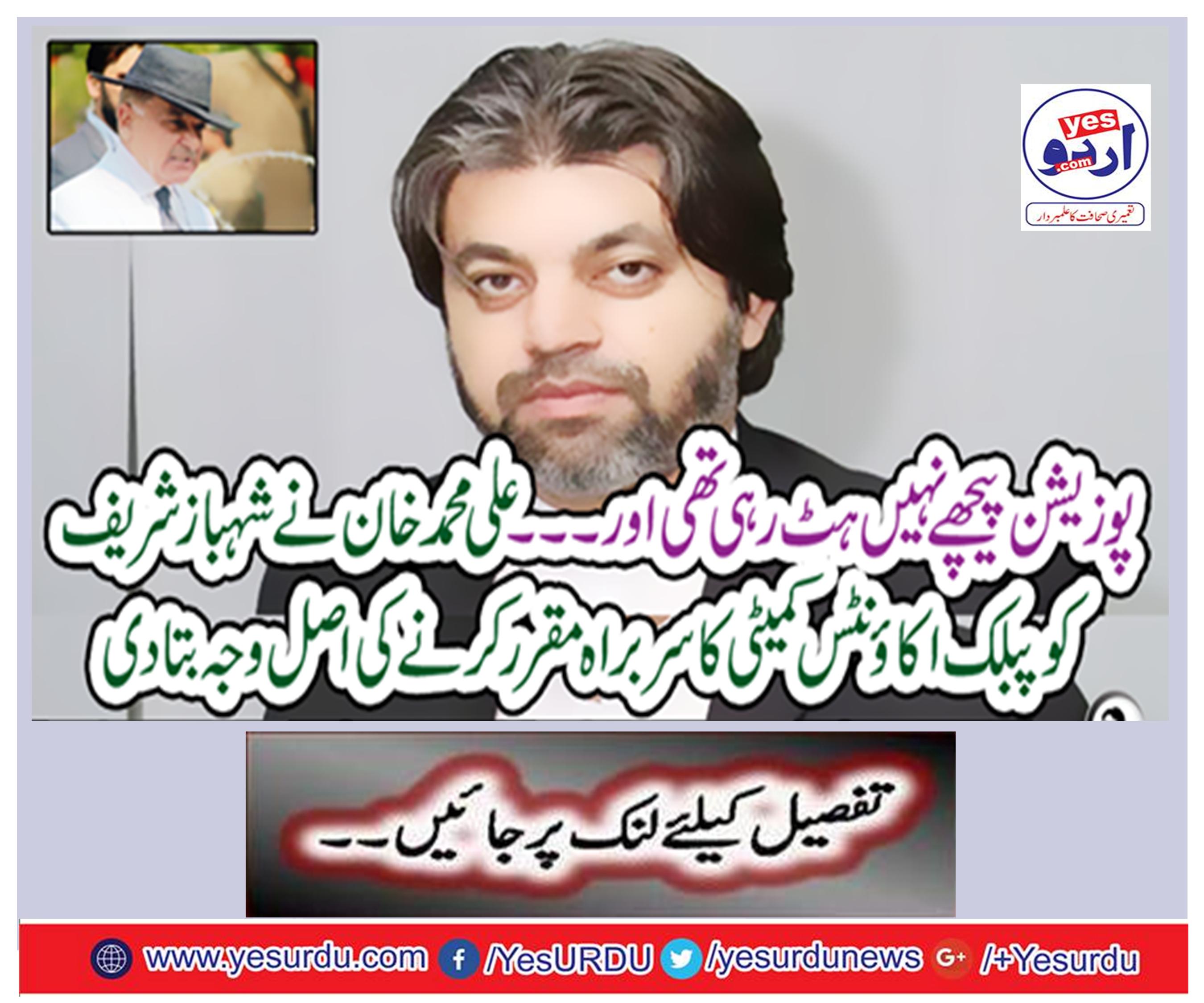 The opposition was not getting back and ... Ali Mohammad Khan told Shahbaz Sharif the main reason for setting up a Public Account Committee head