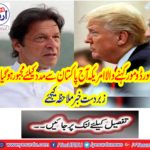 Domover Domestic America is forced to help Pakistan today.
