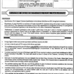 University of Punjab Jobs 2019 for Teaching Faculty Posts