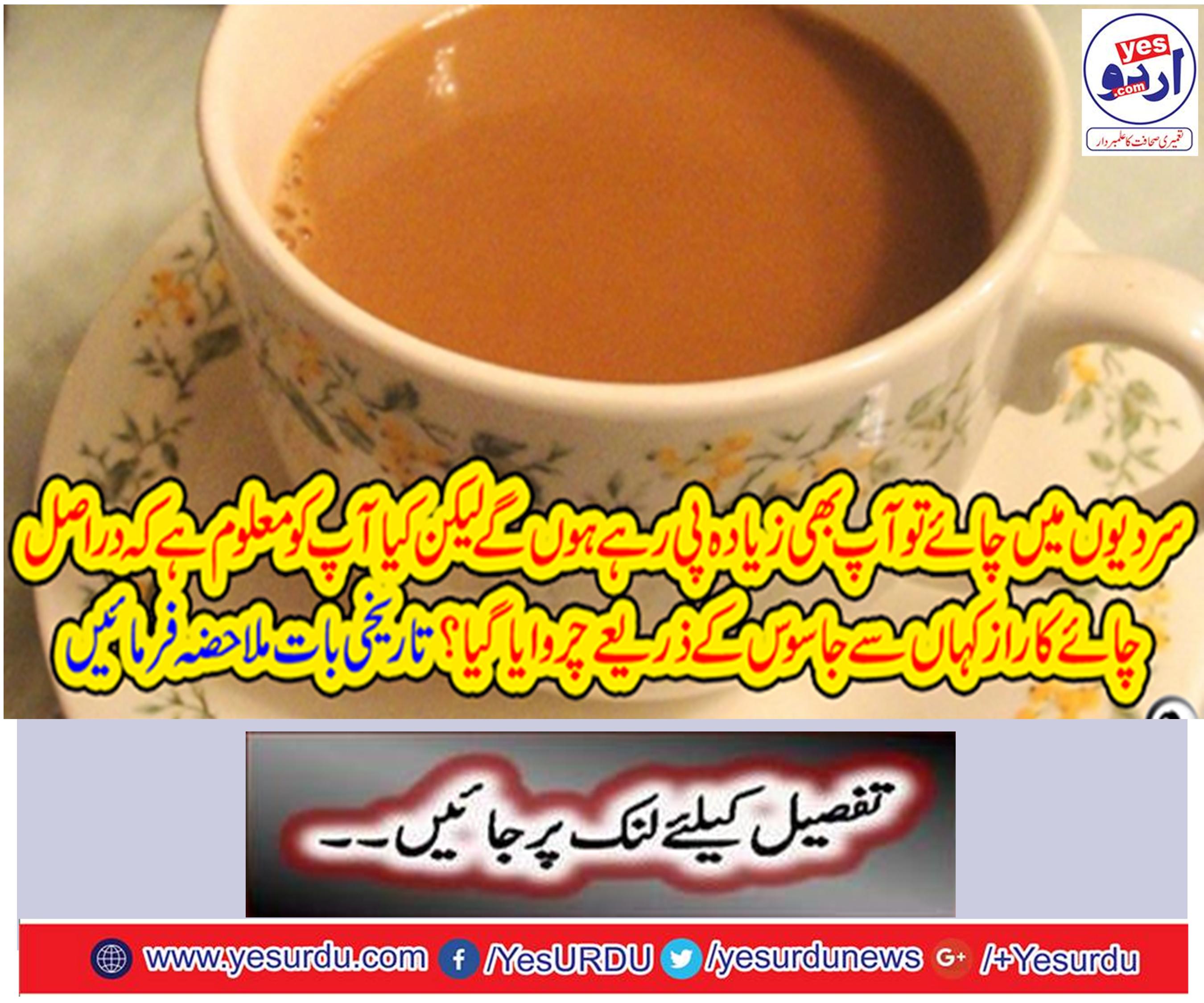 Where has the secret of tea been cured through the spy?