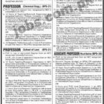 University of Karachi (UOK) Jobs 2019 – Apply Online: Name of the Organization: University of Karachi (UOK) Total No. of Vacancies: Multiple Qualifications & Age Limit: Please see job notification below for relevant experience, qualification & age limit information. Job Location: Karachi Last Date To Apply: 18th January 2019