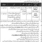 Pak Army Jobs 2019 for UDC Clerk and Data Entry Operator at Central Ammo-Depot Sargodha