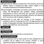Pakistan Stone Development Company (PASDEC) Jobs 2019 for CEO Post