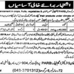 PARB Punjab Jobs 2019 for Research Associate