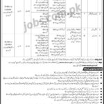 WAPDA Jobs 2019 for 85+ Staff Nurses, Medical Officers & Specialists at WAPDA Medical Services (Multiple Cities)