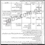 NUST University Jobs 2019 for UDC Clerk and IT Staff