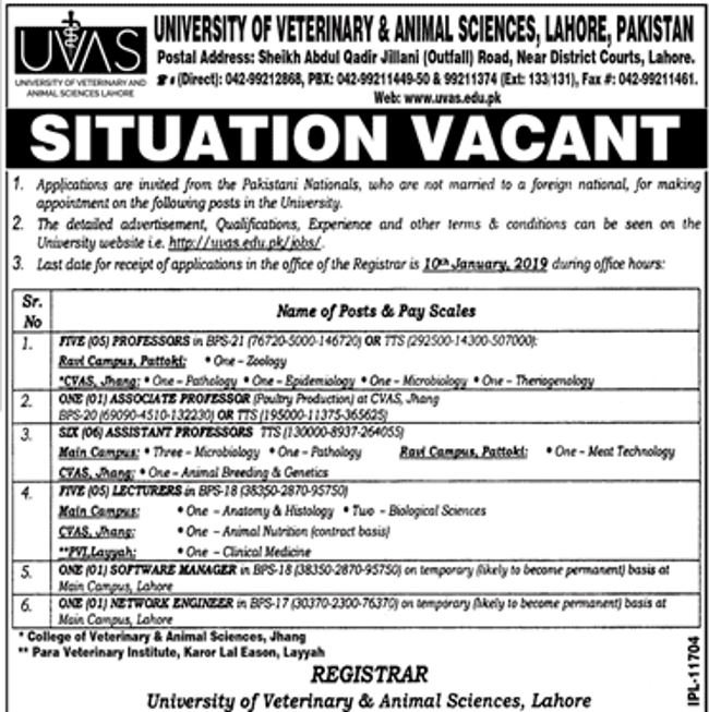 UVAS University Jobs 2019 for 19+ IT & Teaching Faculty Posts