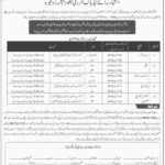 AJK Higher Education Department Jobs 2019 for Librarians, DPEs, Instructors and Lecturers Posts