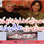 Shahbaz Sharif's wife, Taimina Durani, gets over the deal with the Government,