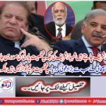 Nawaz Sharif wants to become President of the party in place of Shahbaz Sharif.