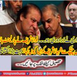 Zardari always stayed away Why did Nawaz Sharif talk to Shahbaz Sharif secretly in Parliament House?