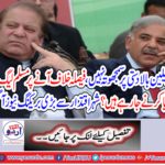 What is the PML-N going on when the decision is vacant?