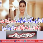 The possible decision against Nawaz Sharif, on this afternoon, Mary Nawaz broke the silence