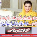 Prior to the decision against Nawaz Sharif, Mary Nawaz started shooting on Twitter.