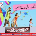 Kite power project