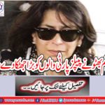 Sangeem Bhutto gave a big blow to the PPP