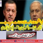 Turkey reminds the Israeli Prime Minister granny