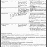 DHQ, Teaching, Hospital, DG Khan,Jobs,2019 ,for, 11+ Pharmacists, Medical ,& Instructor,Posts, 25 December, 2018