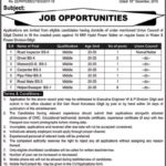 Water, & Power, Division, Gilgit ,Jobs, 2019, for, 15+ Road, Inspectors, Drivers, Skilled ,& Support, Staff, 23 December, 2018