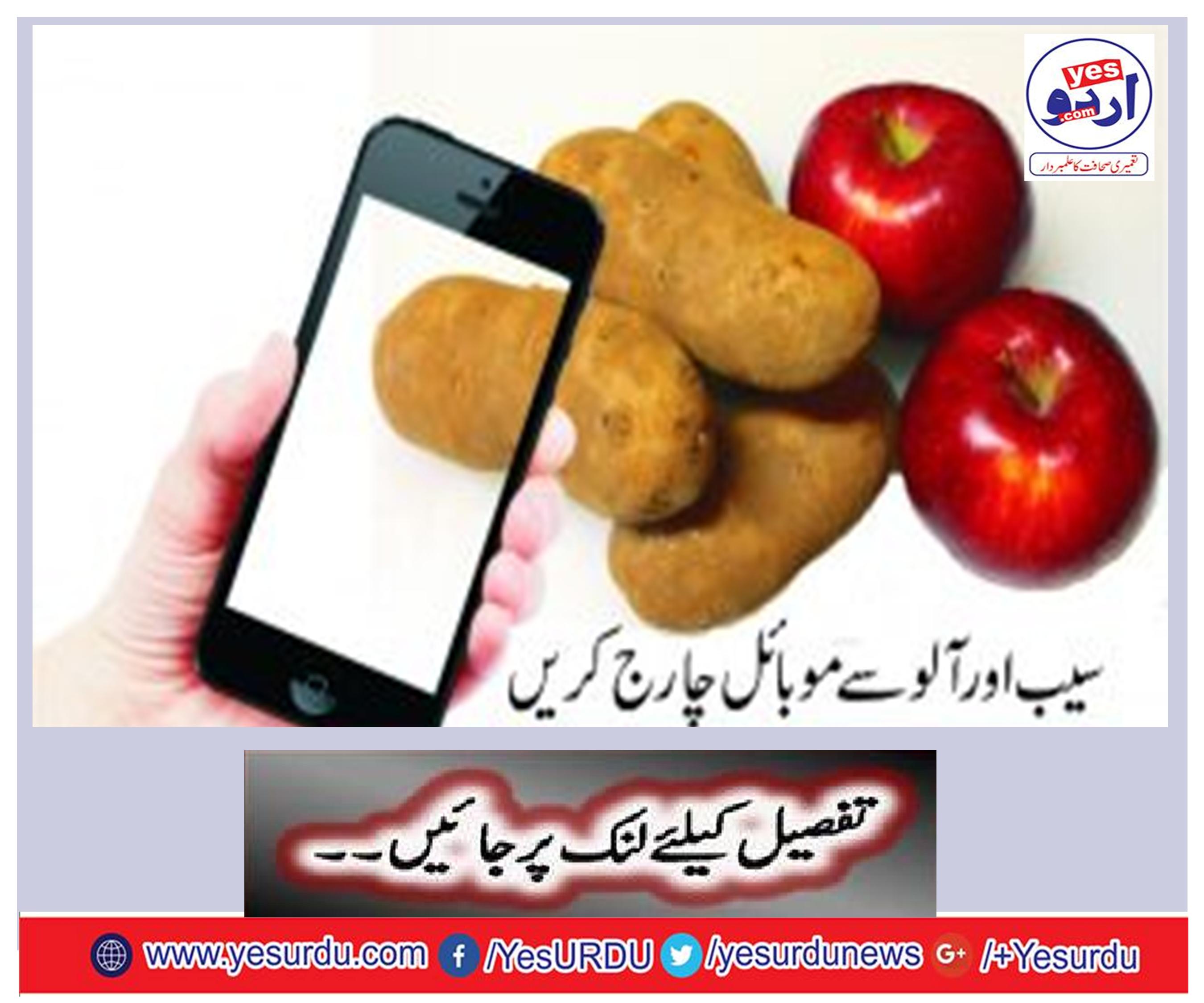 Charger the mobile with apples and potatoes