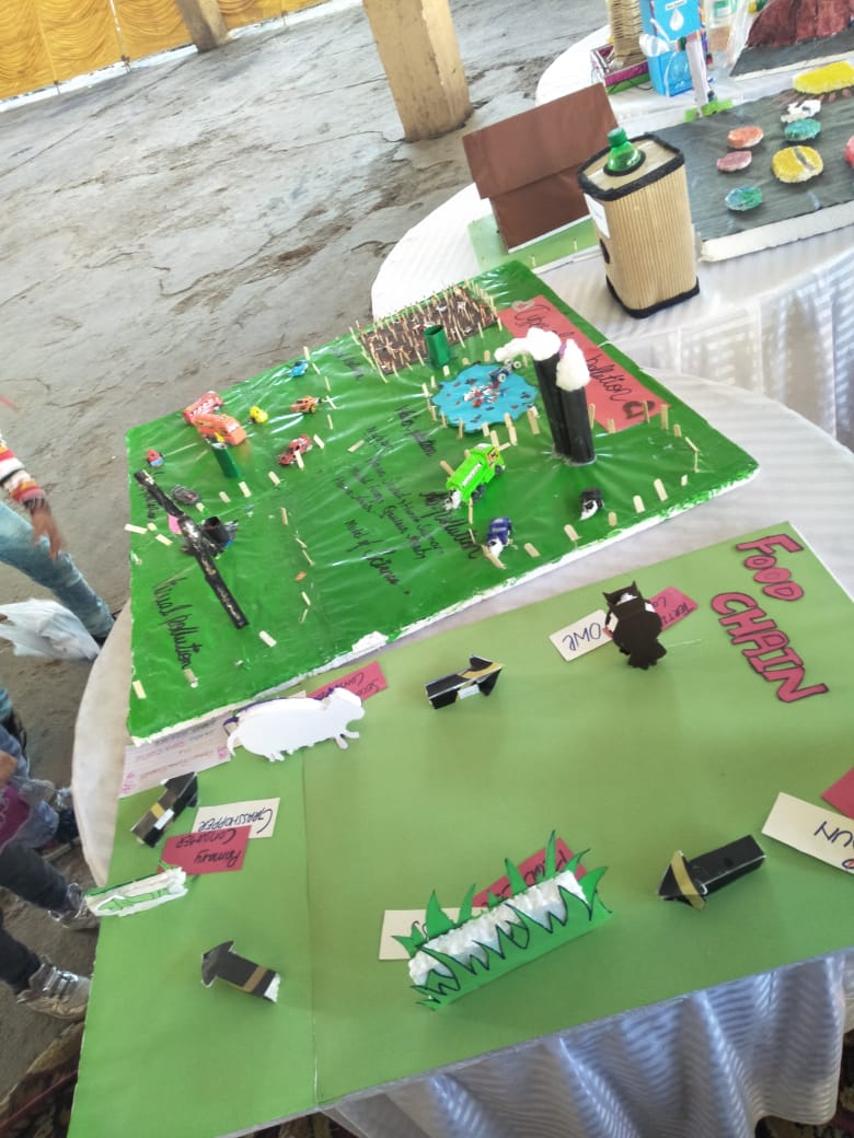 Inauguration of 2 days activity week at al azizia branch allied school rawalpindi 