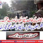 What strategy has been made to overcome terrorist attacks?