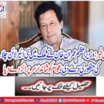 Prime Minister Imran Khan approved to launch new airline in the country,