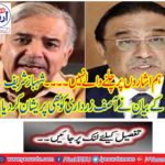 Shahbaz Sharif's statement also troubled Asif Zardari