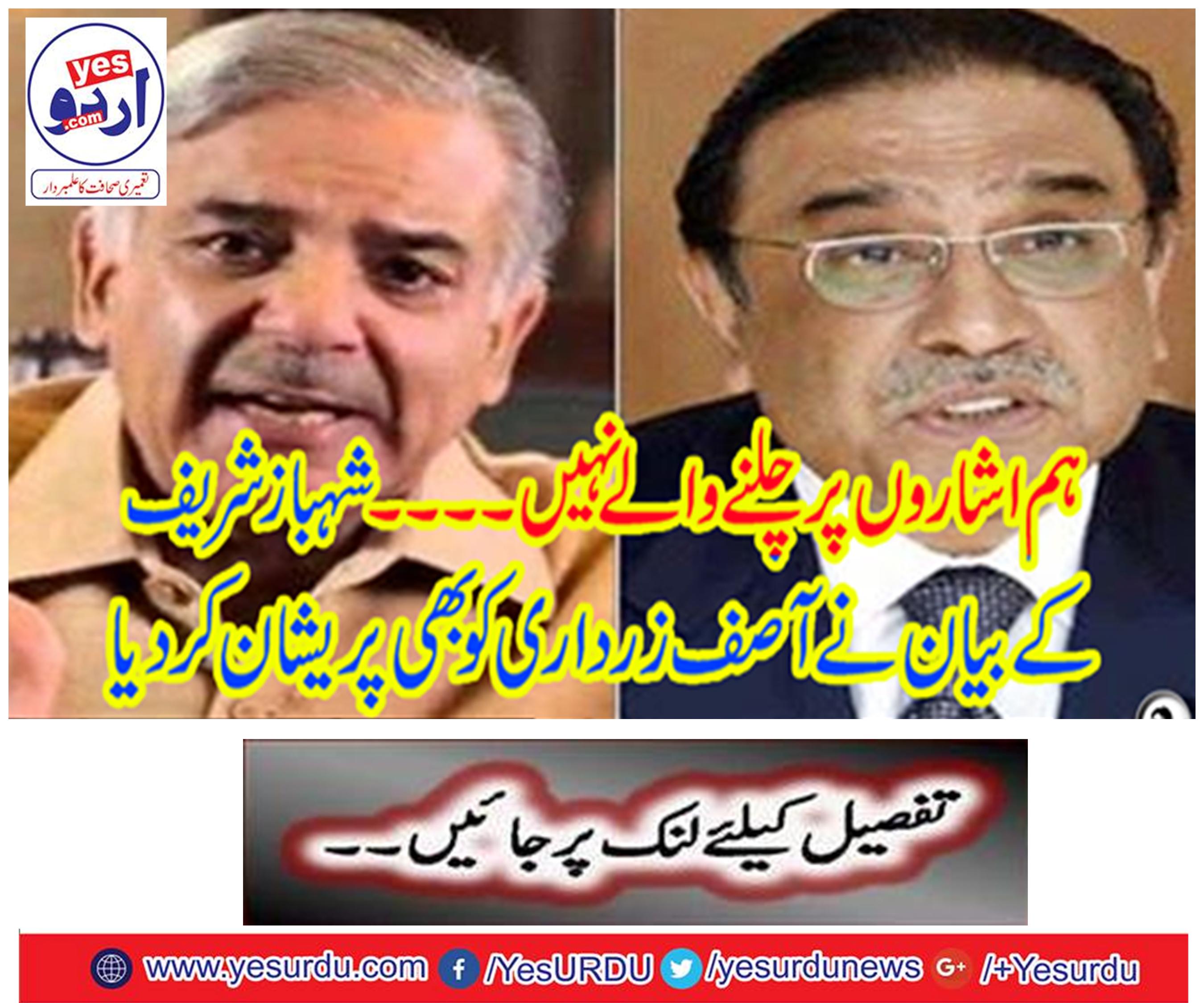 Shahbaz Sharif's statement also troubled Asif Zardari