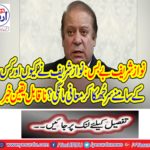 Why and why would Nawaz Sharif ask for forgiveness and bow down?
