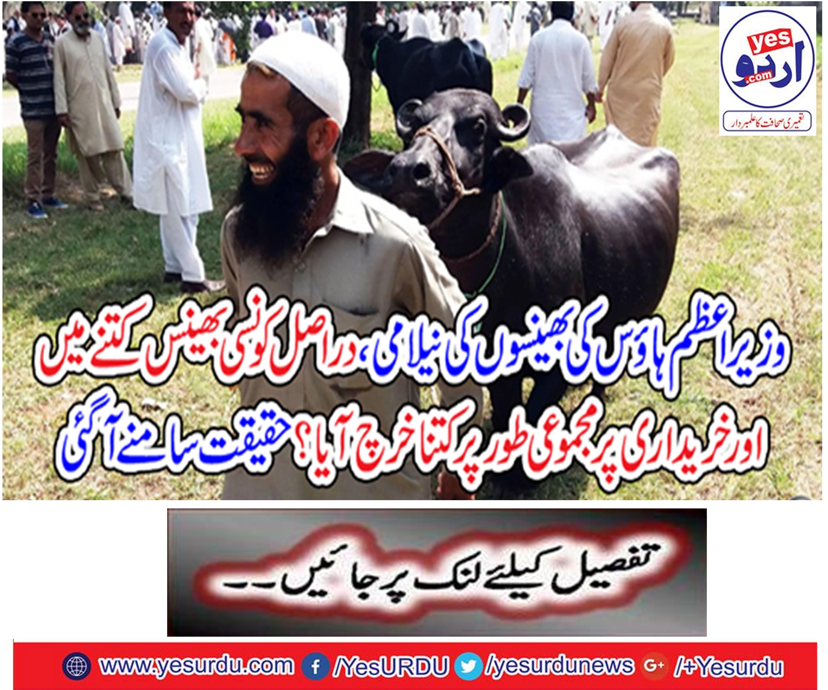 The auction of Prime Minister's House, how much the buffalo actually spent and how much the purchase was spent?